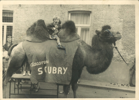 Schepen Christine De Pus als 7-jarige op de kameel van Soubry in de gemeenteschool van Oudegem, 1966