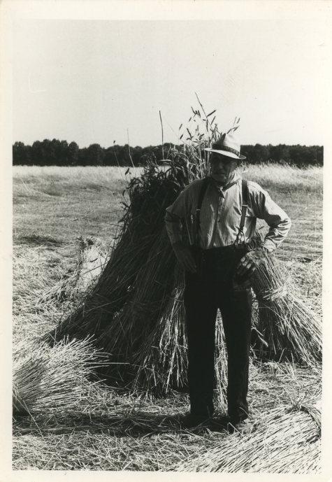 Bliki Césaer bij graanschoven, film “Ouden Balegemsen” (van Roger Van Brakel), 1978