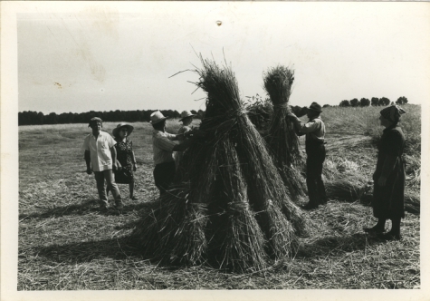 Christine Lampaert, André Van Hecke, Bliki Césaer, Gerard Lampaert en Marguerite Van Hecke, film “Ouden Balegemsen” (Roger Van Brakel), 1978 