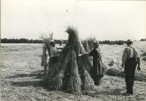 Christine Lampaert, André Van Hecke, Bliki Césaer en Marguerite Van Hecke, film “Ouden Balegemsen” (van Roger Van Brakel), 1978. 