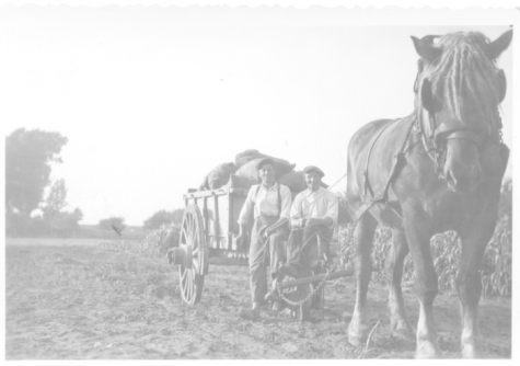 Aardappelveld, Sint-Lievens-Houtem