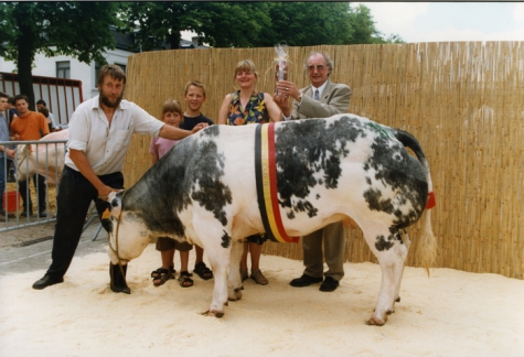 Winnend koeienras, Zomerjaarmarkt, Sint-Lievens-Houtem, 2001