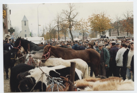 Paarden en pony's op Houtem Jaarmarkt, Sint-Lievens-Houtem, 1995