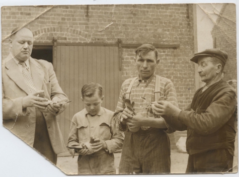 Eerste prijs duivenwedstrijd, Sint-Lievens-Houtem, jaren 1950
