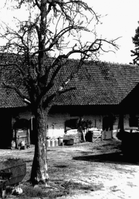 Hof te Letterhoutem, Binnenkoer, Zuidzijde, Sint-Lievens-Houtem