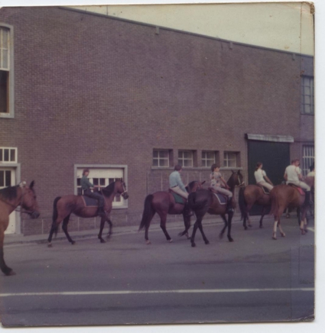 Sint-Fledericusommegang met paarden, Vlierzele, 1977