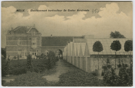 Bloemisterij De Coster Verstraete 