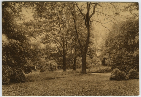 Zicht op het park van het College te Melle