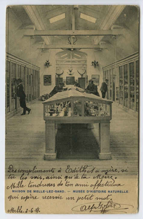Natuurhistorisch museum van het College te Melle in 1907