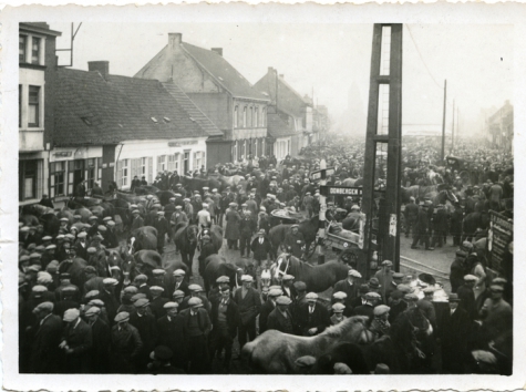 Paarden op Houtem Jaarmarkt, Sint-Lievens-Houtem, 1937-1938