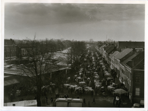 Houtem Jaarmarkt met koeien op straat, Sint-Lievens-Houtem, datum?