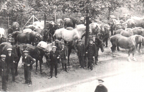 Paardenmarkt, Merelbeke, 1918