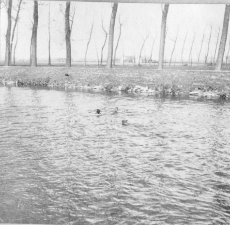 De vliegeniers van Staffel 13 zoeken verpozing in de Leie achter het vliegveld van Sint-Denijs-Westrem, 1917