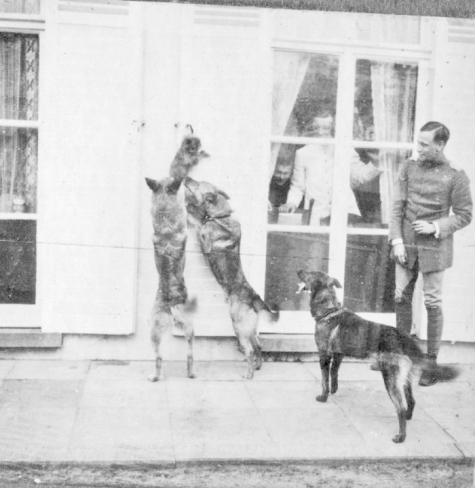 Honden voor de ramen van kasteel Pijcke, Melle, 1917.