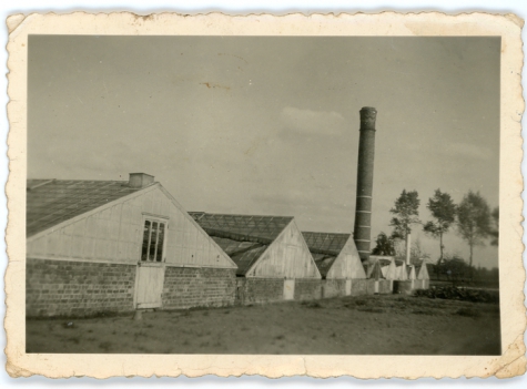 Zicht op serres bloemisterij Pieters, Melle, 1938-1940