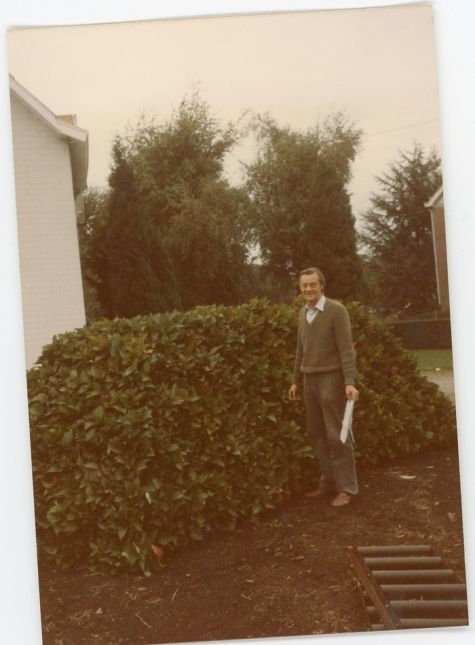 Hortensia's klaar voor transport, Melle, 1980-1985