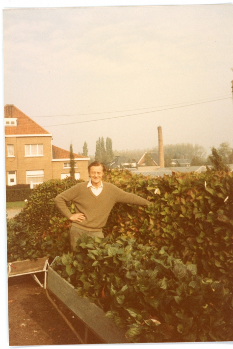 Andre Pieters bij hortensia's klaar voor transport, Melle, 1980-1985