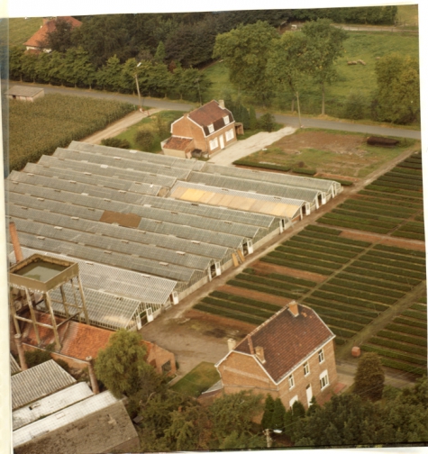 Luchtfoto bloemisterij Debersaques, Destelbergen, 1991