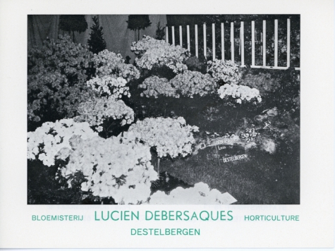 Visitekaartje bloemisterij Debersaques, Destelbergen, 1970-1980