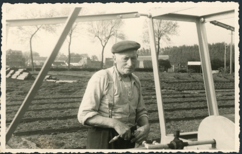 Bloemist Maxim Debersaques, Destelbergen, jaren 1950