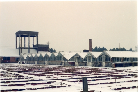 Bloemisterij Debersaques in koude wintertijd, Destelbergen, 1991