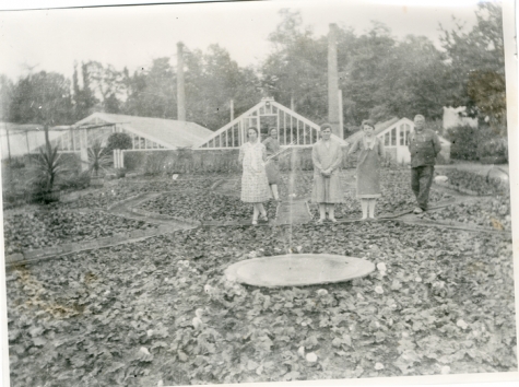 Bloemisterij Puimège met serres, Zaffelare, 1930-1947