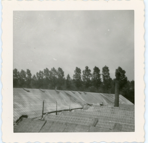 Schoorsteen en serres, Lochristi, jaren 1930