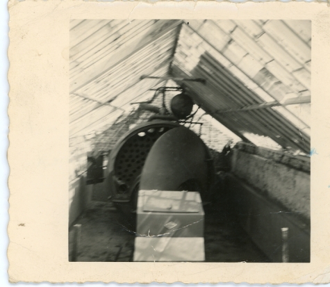 Verwarmingsketel in serre, Lochristi, 1958