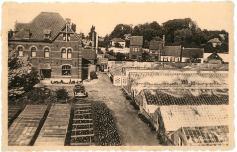 Bloemisterij Volckaert-Columbien, Merelbeke, 1940-1950