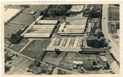 Luchtfoto bloemisterij Volckaert-Ghysels, Merelbeke, 1930-1940