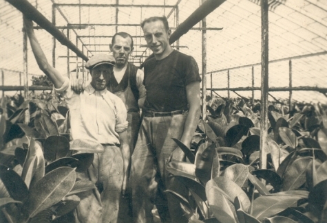 Personeel op bloemisterij Volckaert-Ghysels, Merelbeke, 1930-1950