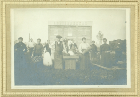 Bloemisterij Adriaenssens met personeel, Lochristi, 1900-1912