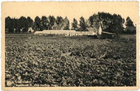 Bloemisterij A. Goethals, Lochristi, 1946