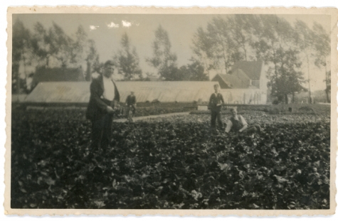 Renaat Goethals tussen de begonia's, Lochristi, 1930-1939