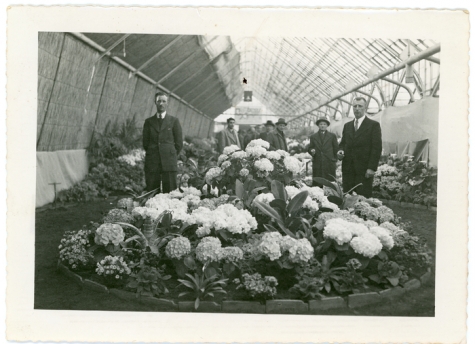 Broers en bloemisten René en Gustaaf Goethals, Lochristi, 1950