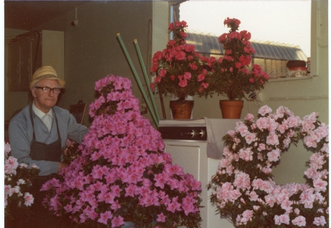 Bloemist René Goethals, Lochristi, 1975