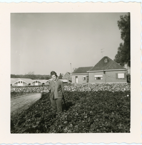 Georgette Collin begiet de begonia's, Destelbergen, eind jaren 1960