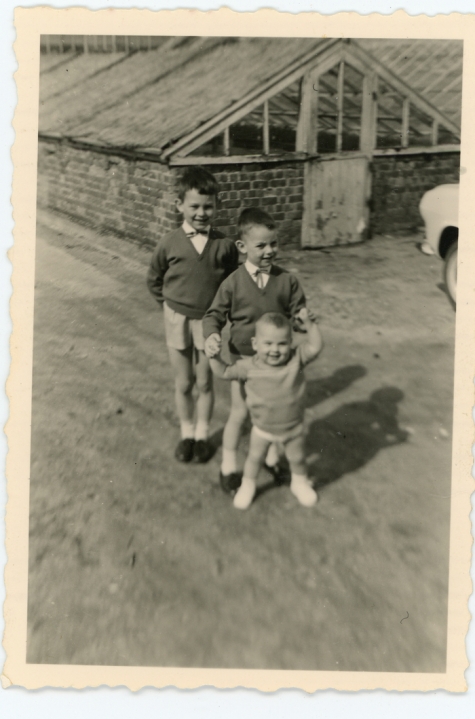 Kinderen Floré aan de serre, Lochristi, 1963

