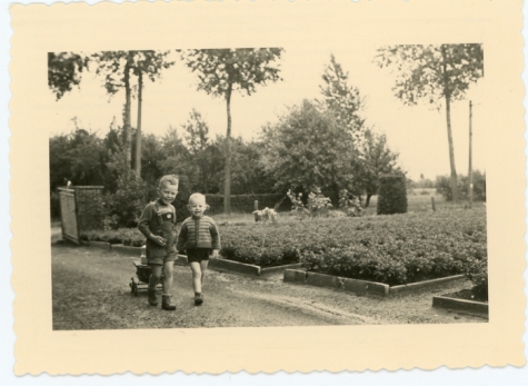 Alex en Etienne Floré tussen de azalea's, Lochristi, jaren 1960
