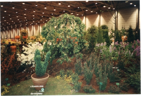 Stand van boomkwekerij De Moor op Gentse Floraliën, jaren 1970
