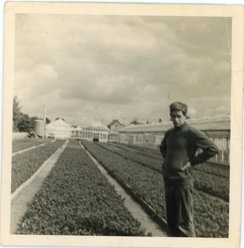 Bloemisterij Marc Roggeman, Heusden, 1969
