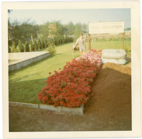 Bloemisterij Roggeman, Heusden, jaren 1970