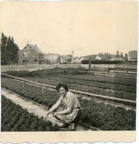 Rachel Braeckman tussen de azalea's, Heusden, jaren 1950
