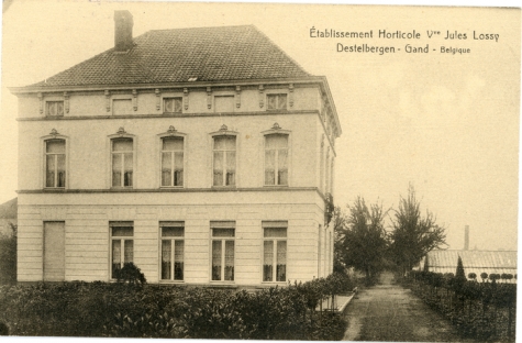 Bloemisterij Lossy, Destelbergen, 1923
