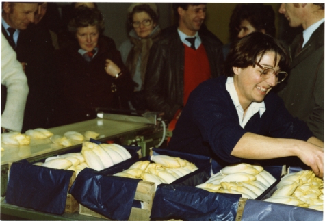 Bedrijfsbezoek witloofbedrijf, Frankrijk, jaren 1980