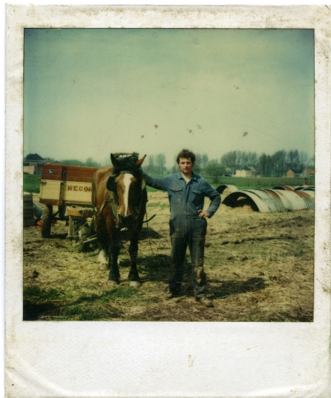 Antoine Van De Keere aan paard en kar, Sint-Lievens-Houtem, jaren 1970