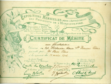 Certificaat van hortensiasoort, Destelbergen, 1936
