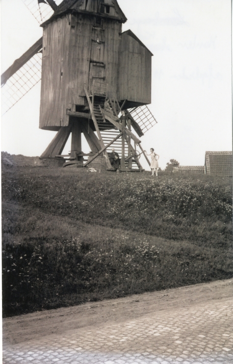 Muntekoutermolen, Munte
