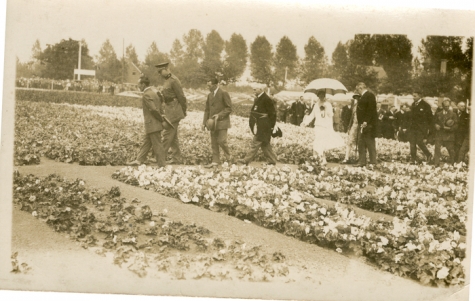 Bezoek Koningspaar aan de Begoniavelden De Sommer, Hijfte, 1929
