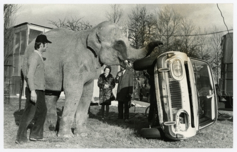 Harry Malter met olifant en omvergeduwde wagen